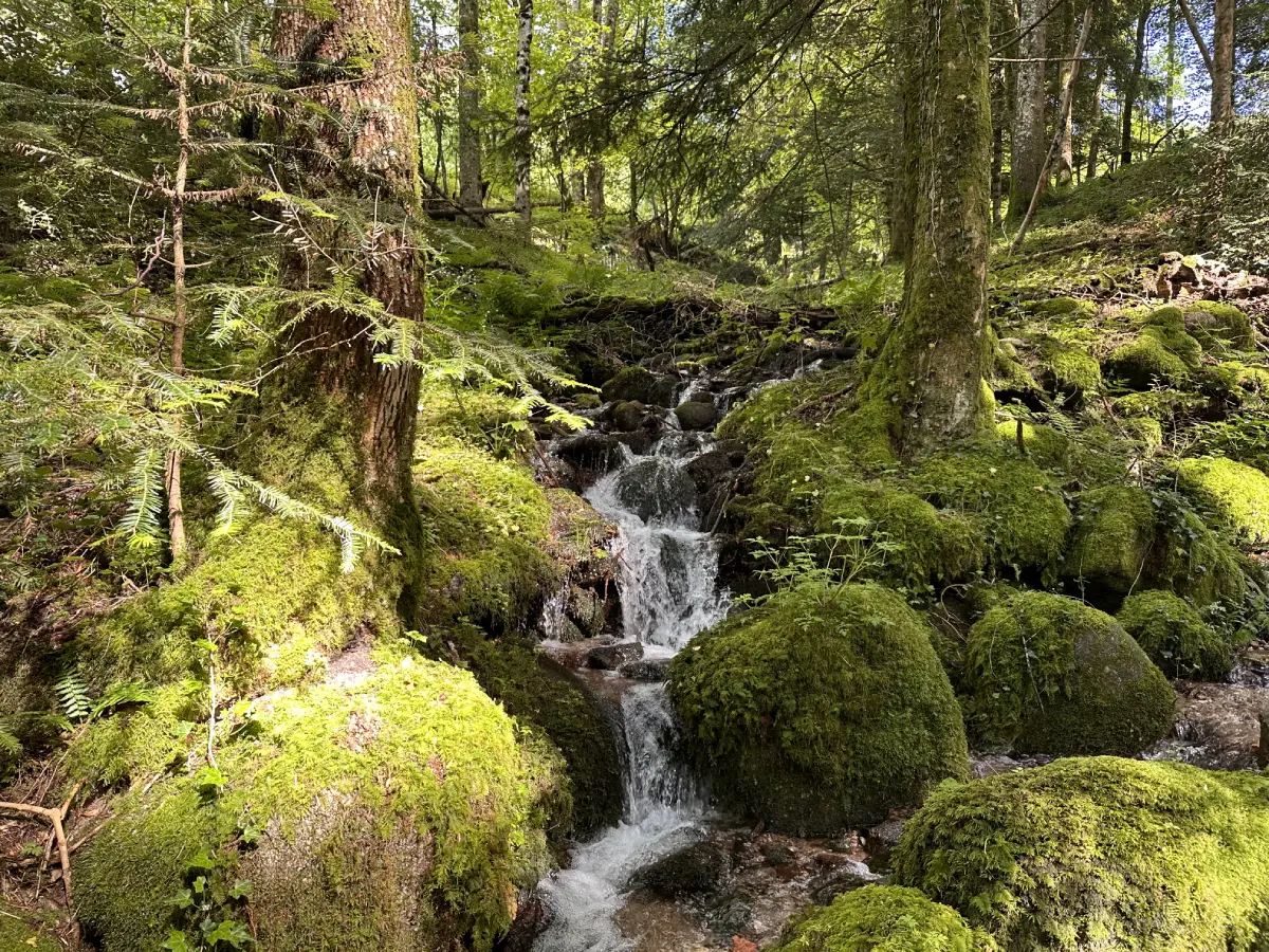 Chalets Domainedulac: location saisonnière Vosges-Gerardmer