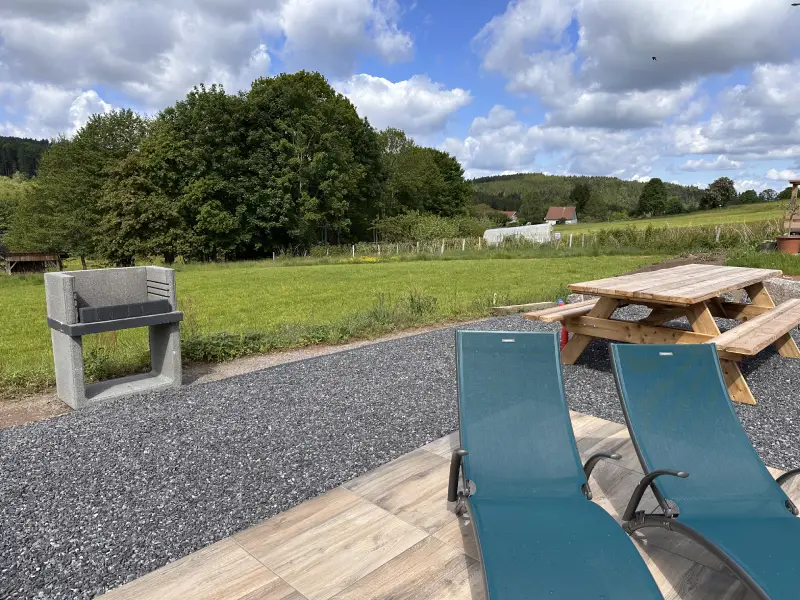 Chalet dans les Vosges avec piscine , jacuzzi, 11 pers-bbq