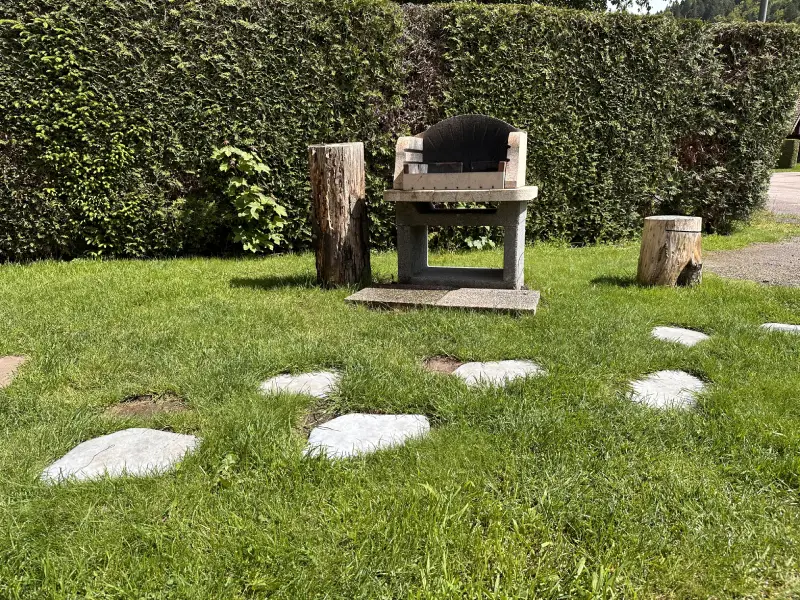 Chalet urlaub Vosges , haustiere erlaubt, Xonrupt-longemer - barbecue